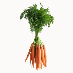 Zanahorias